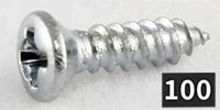 ALLPARTS / GS-0050-B10 Gibson Size Pickguard Screws, CH(100個セット)