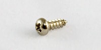 ALLPARTS / GS-3206-B01 Bulk Pack of 50 Nickel Truss Rod Cover Screws