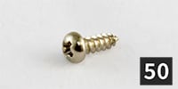 ALLPARTS / GS-3206-B01 Truss Rod Cover Screws, Nickel (50本セット)