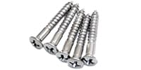 ALLPARTS / GS-3364-010 Pack of 5 Chrome 1-Inch Bridge Mounting Screws