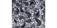 ALLPARTS / PG-0095-042 Paisley Pickguard Blank