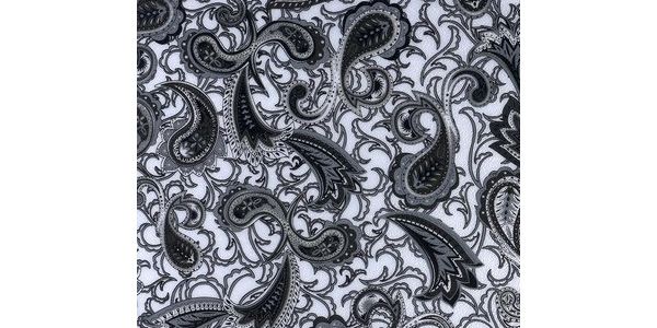 ALLPARTS / PG-0095-042 Paisley Pickguard Blank