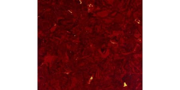 ALLPARTS / PG-0095-044 Red Tortoise Pickguard Blank