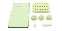  PG-0549-024 Mint Green Accessory Kit for Stratocaster