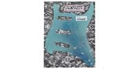 ALLPARTS ( オールパーツ ) PG-0552-041 Mirror Pickguard for