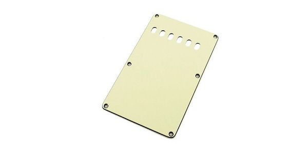 /PG-0556-024 Mint Green Tremolo Spring Cover