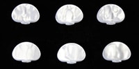 ALLPARTS / TK-7724-055 Pearloid Button Set for Grover, Set of 6.