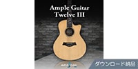 AMPLE SOUND / AMPLE GUITAR TWELVE III