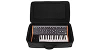 Analog Cases / 	MOOG SUBSEQUENT 37 Backpack Case