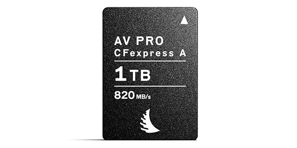 Angelbird ( エンジェルバード )  / AV PRO CFexpress Type A 1 TB　【AVP1T0CFXA】画像2