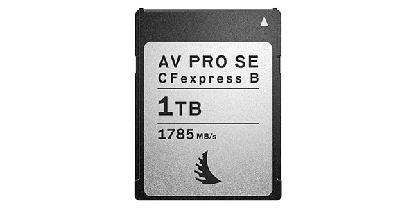 Angelbird / AVP1T0CFXBSE