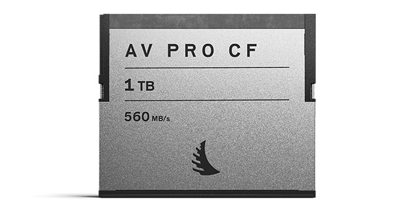 Angelbird / AVP1TBCF画像2