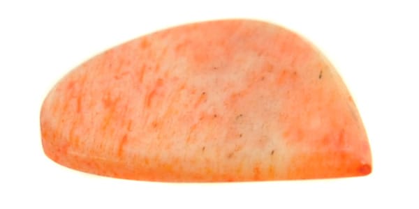 Animals Pedal / Wild Picks Cow Bone Jazz Pick Orange Small画像2