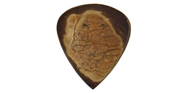 Animals Pedal ( アニマルズペダル )  / Wild Picks　Coconut Tear Drop Double Dent Brown 画像2