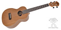 aNueNue Lumi Basic III Mahogany（ANN-B3）　テナーウクレレ