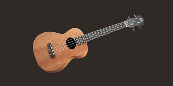 aNueNue ( アヌエヌエ )  / Lumi Thunder Mahogany III W/Pu（ANN-TM3E）画像3