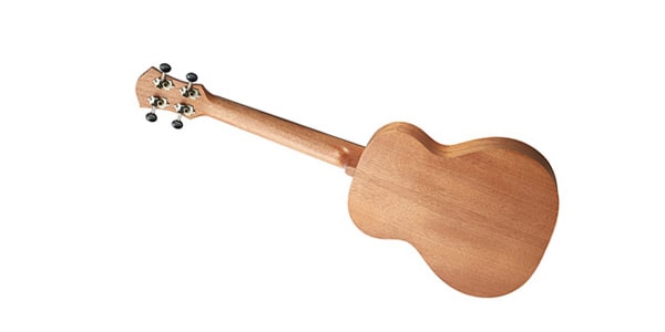 aNueNue ( アヌエヌエ )  / Lumi Thunder Mahogany III W/Pu（ANN-TM3E）画像4