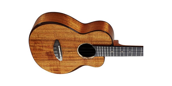 aNueNue ( アヌエヌエ )  / Hawaiian Koa-Bird Ukulele（aNN-UT3k）画像3