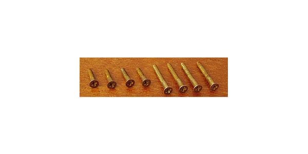 VINTAGE CLONE PARTS / The Clone Mounting Ring Set Cream Hard Relic 画像2