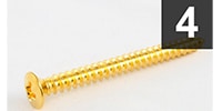 ALLPARTS GS-0005-002 Pack of 4 Gold Neckplate Screws