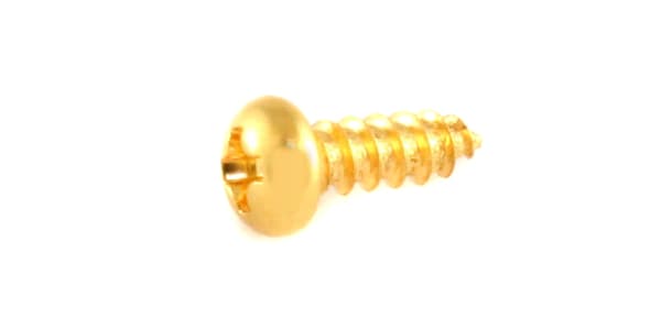 /GS-3206-002 Pack of 8 Gold Truss Rod Cover Screws