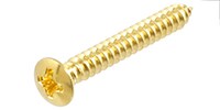 ALLPARTS GS-3364-002 Pack of 5 Gold 1-Inch Bridge Mounting Screws