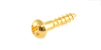  GS-3376-002 Pack of 16 Gold Small Tuner Screws