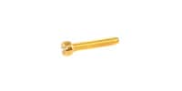 ALLPARTS GS-5453-002 Pack of 6 Gold Humbucker Pole Piece Screws