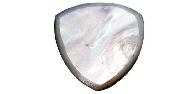 Animals Pedal ( アニマルズペダル )  / Wild Picks Mother of Pearl Tri Pick Chamfer Black Small画像2