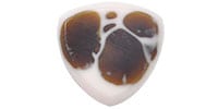 Animals Pedal Wild Picks Resin Tri Pick Chamfer White and Brown Small