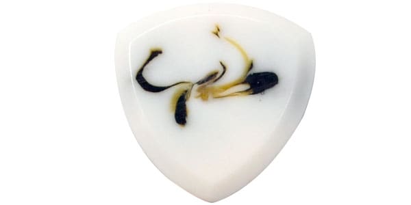 Animals Pedal ( アニマルズペダル )  / Wild Picks Resin Tri Pick Chamfer White and Brown Small画像2