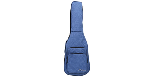 ARIAPROII / PE-AE200 LRBL画像5