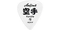 ARIAPROII / Kanji Karate