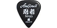 ARIAPROII / 	Kanji Ninja