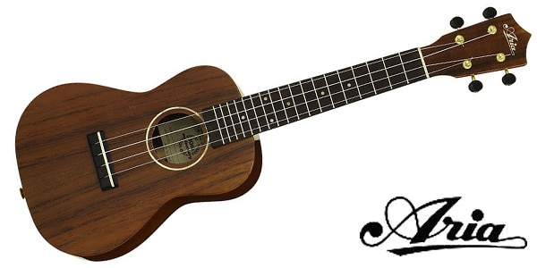 ARIA / ACU-1HK -Concert-