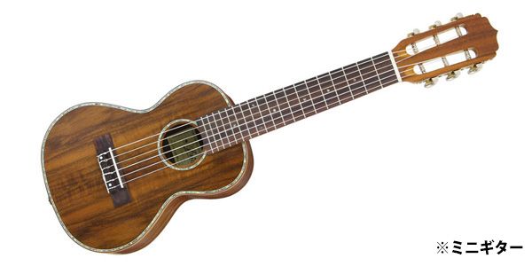 ARIA/G-Uke AＴU-180/6K