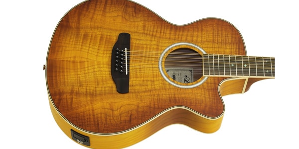 ARIA ( アリア ) FET-DLX/12 Light Vintage Sunburst 送料無料
