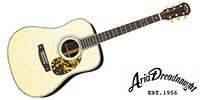 ARIA DREADNOUGHT AD-915 -Dreadnought-