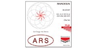 ARS / アルス マンドリン弦 セット ハイポリッシュ R110XHP
