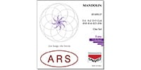 ARS / アルス マンドリン弦 セット ローポリッシュ R110XLP
