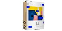 ARTURIA / V COLLECTION  8 LICENSE