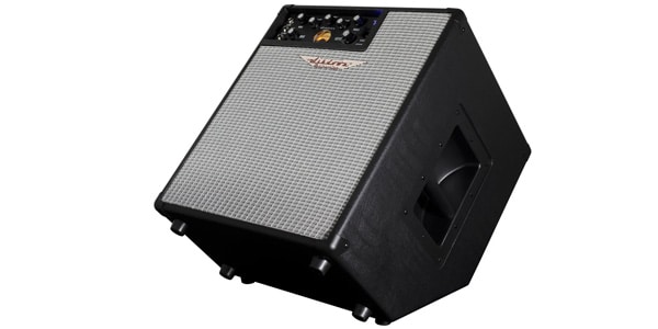 ASHDOWN / ORIGINAL EVO C112-300画像4