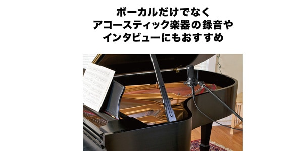 audio technica / AT2050 condenser microphone画像9