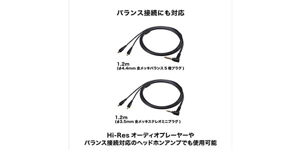 audio technica / ATH-WP900SE Limited Edition画像9