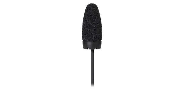 audio technica / BP899cW画像2