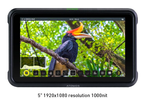 ATOMOS ( アトモス ) SHINOBI 送料無料 | サウンドハウス