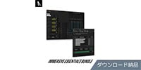 Audiomovers / 	Immersive Essentials Bundle Download Delivery