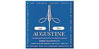 AUGUSTINE BLUE 6