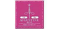 AUGUSTINE REGAL BLUE