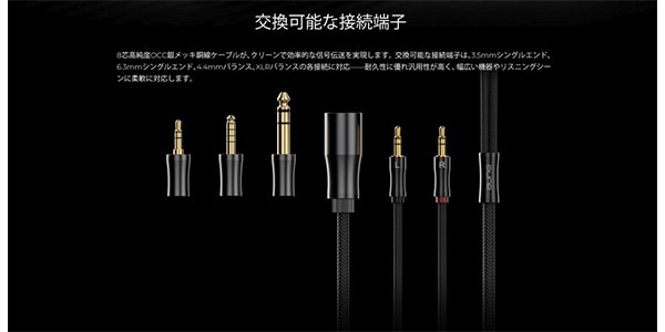 aune audio ( アウネオーディオ )  / AR9000画像6